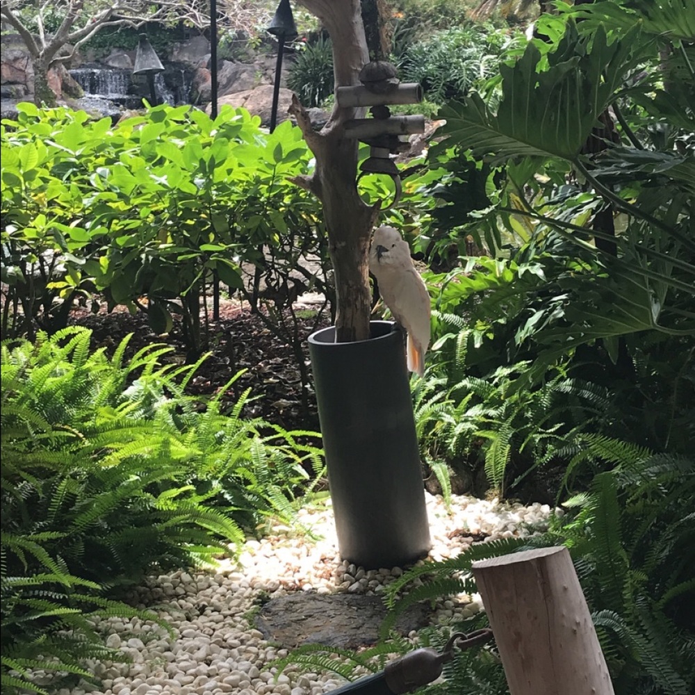 Meet your Posher, Jada